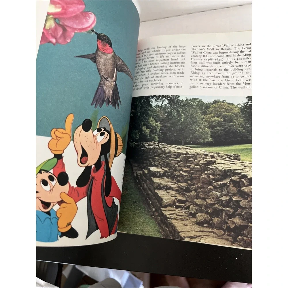 Disney's Wonderful World of Knowledge, Vol 12; c 1971